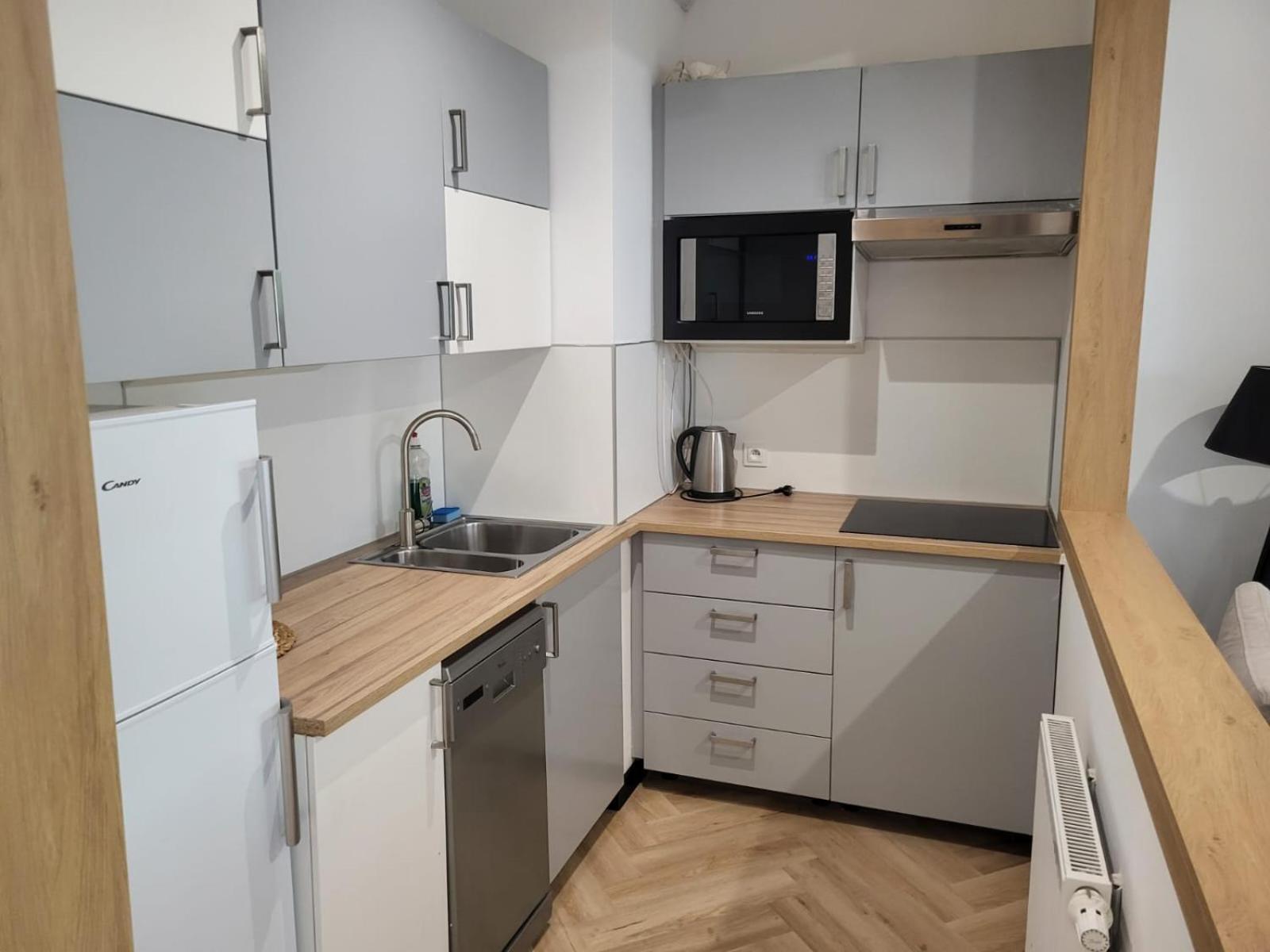 Apartamenty Gasiorowskich 4 波兹南 外观 照片
